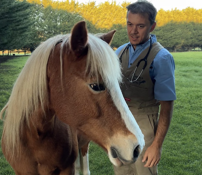 Geelong & District Equine | 15 Reads Rd, Gnarwarre VIC 3221, Australia | Phone: 0452 124 585