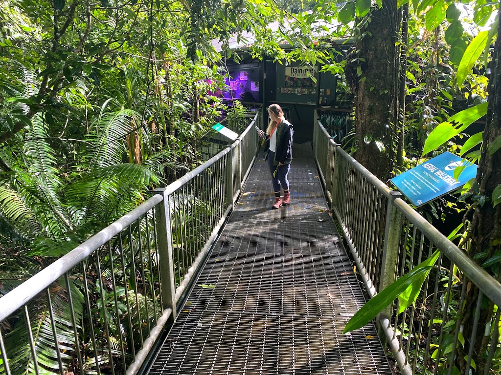 Daintree Discovery Centre | tourist attraction | Tulip Oak Road, Turn off, Cape Tribulation Rd, Cow Bay QLD 4873, Australia | 0740989171 OR +61 7 4098 9171
