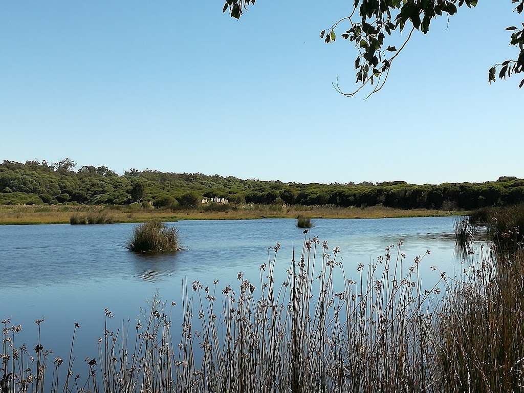 Yanchep National Park Golf Course | Wanneroo Rd & Yanchep Beach Rd, Yanchep WA 6035, Australia | Phone: (08) 9303 7759