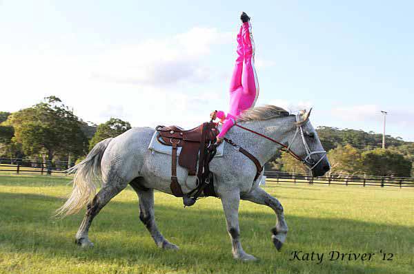 Kamilaroi Equestrian Centre | 247 Kanes Rd, Round Mountain NSW 2484, Australia | Phone: 0409 122 109