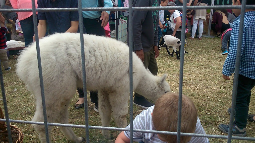 Melbourne Easter Show | tourist attraction | Grant St, Cranbourne VIC 3977, Australia | 0359741003 OR +61 3 5974 1003