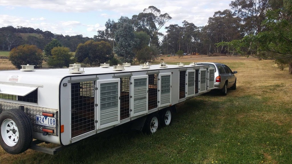 GTE Dog Transport |  | 71 Springs Rd, Sedgwick VIC 3551, Australia | 0354396322 OR +61 3 5439 6322