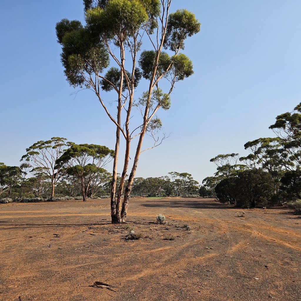 Nullabor Links - Hole 16 - Silver Lake | Kambalda West WA 6442, Australia | Phone: (08) 9027 1110