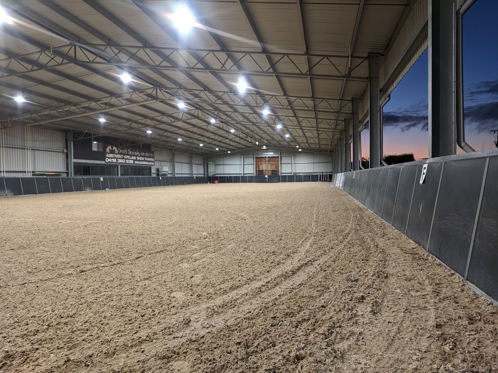 South Serenity Arabians | 285 Gehreys Ln, Kilmore VIC 3764, Australia | Phone: 0418 360 636