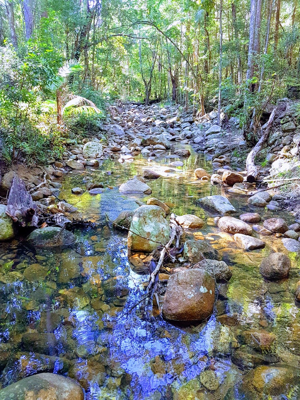 Woondum National Park | Mothar Mountain QLD 4570, Australia