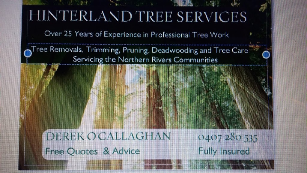 Hinterland Tree Services | Maso Rd, Repentance Creek NSW 2480, Australia | Phone: 0407 280 535