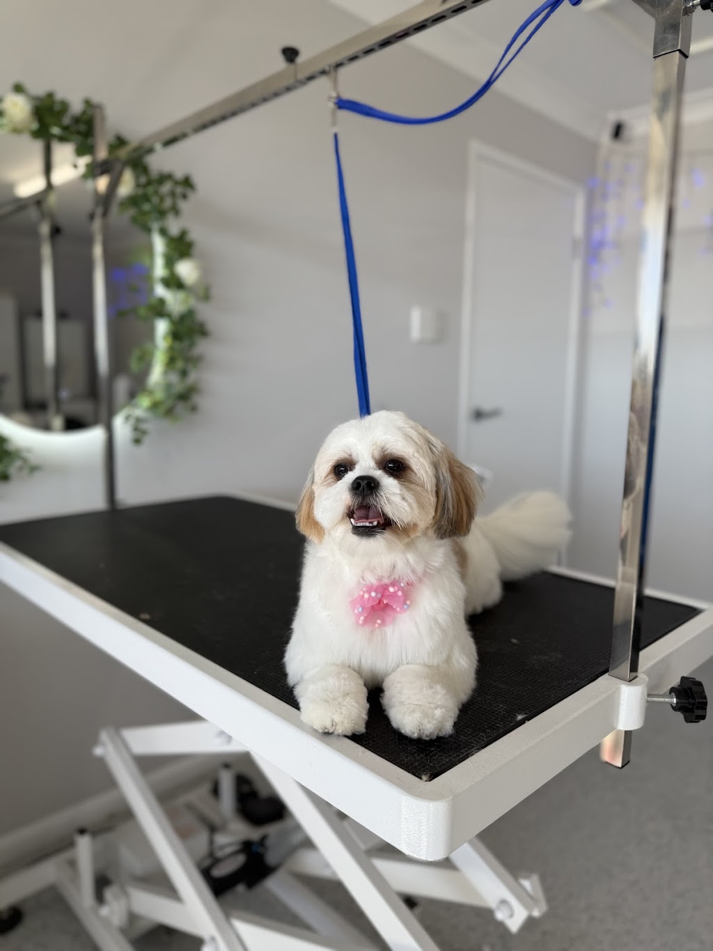 Bears Barking Lot | 24 Mahogany Dr, Plainland QLD 4341, Australia | Phone: 0458 898 973