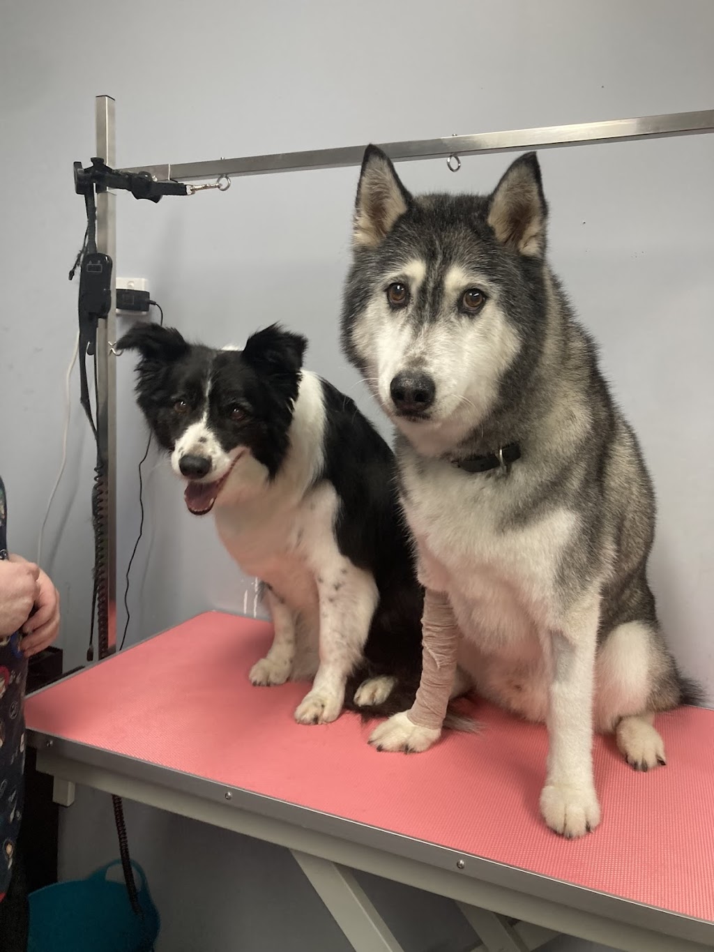 Peachy Clean - Pet grooming & supply store | 11-13 Buln Buln Rd, Drouin VIC 3818, Australia | Phone: 0483 849 145