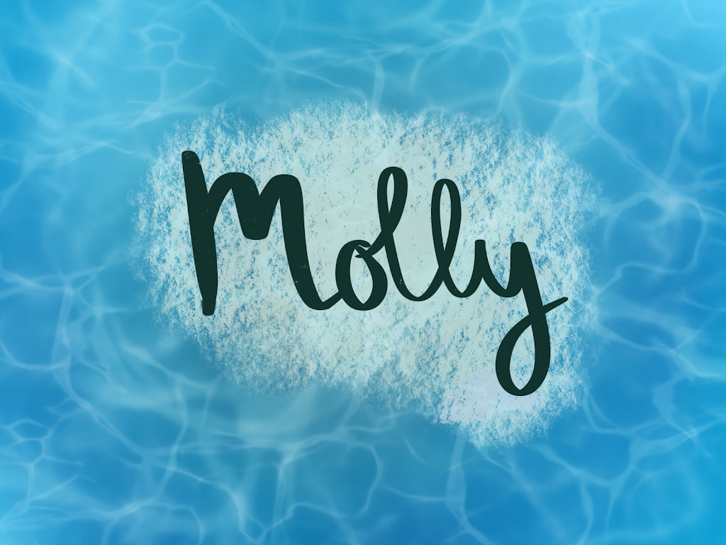 The Sapphire Dragon | 131 Henry St, Wynnum QLD 4178, Australia | Phone: 0428 481 097