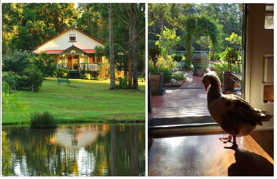 Telegraph Retreat Cottages | lodging | 126 Federation Way, Cooperabung NSW 2441, Australia | 0265850670 OR +61 2 6585 0670