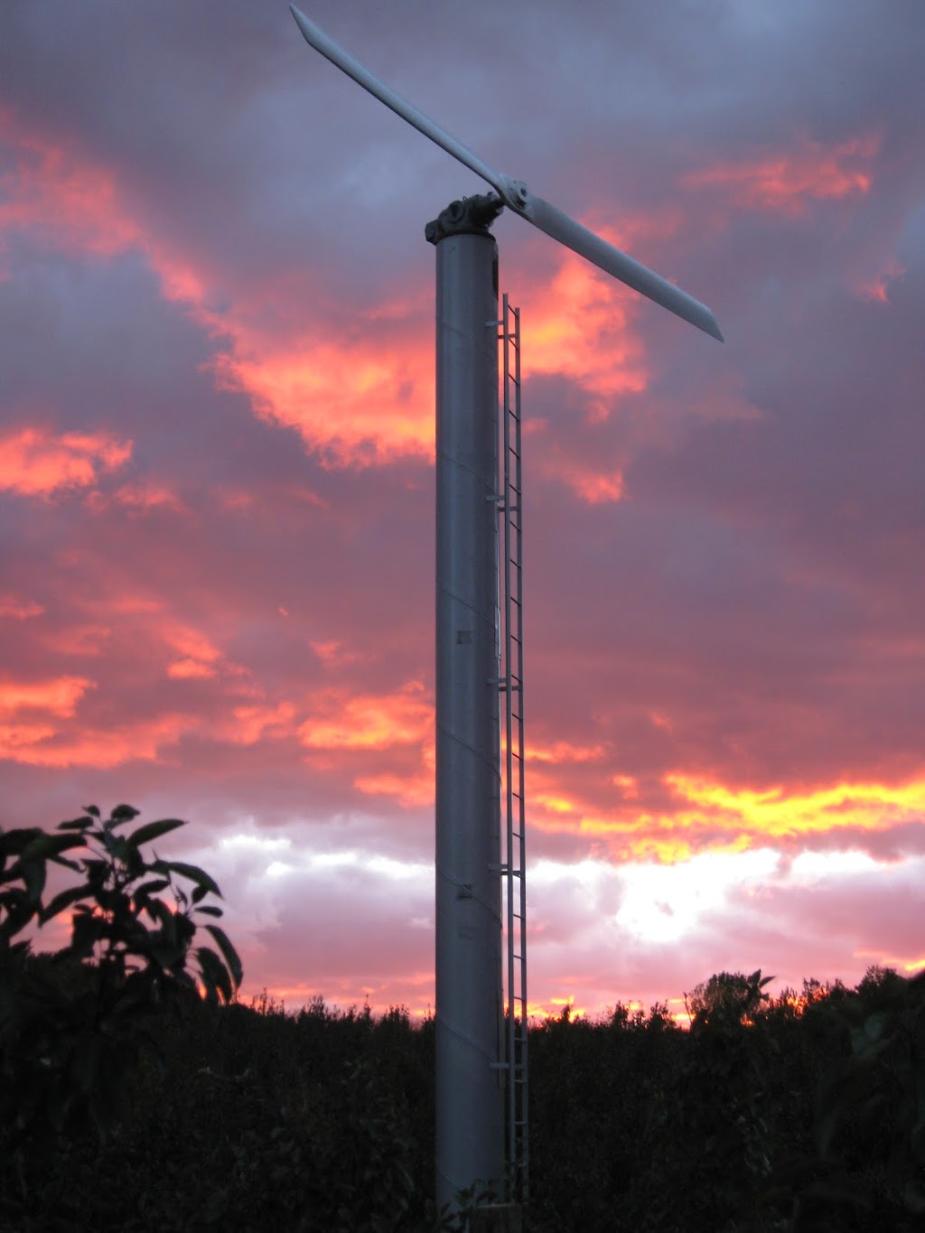 Chinook Frost Fans Australia | 73 Boeill Creek Rd, Boeill Creek NSW 2739, Australia | Phone: 0428 221 848