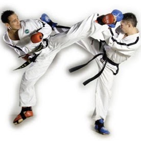 International Taekwon-Do Federation | gym | 42 Yates Ave, Dundas Valley NSW 2117, Australia | 0400483853 OR +61 400 483 853