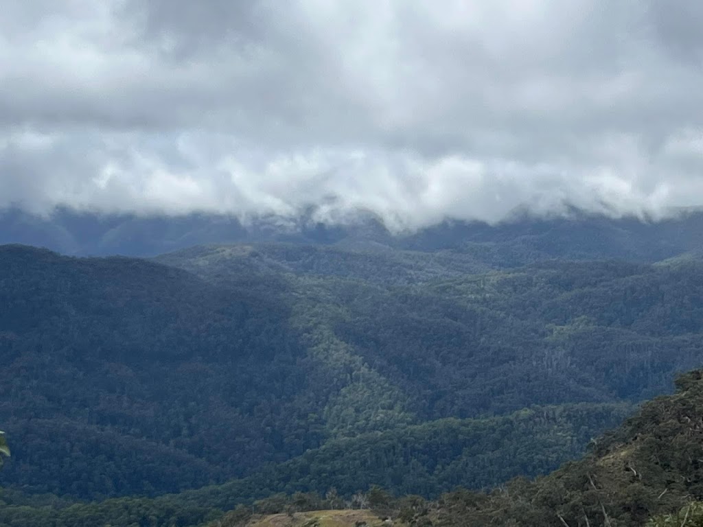 Snowy Range Horseback Tours | travel agency | Kelly Hut Track, Tamboritha VIC 3858, Australia | 0428321905 OR +61 428 321 905