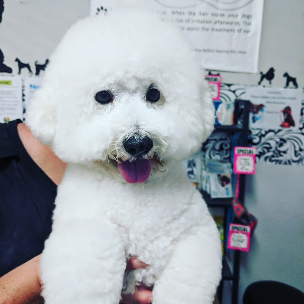 Sheridans Dog Grooming |  | 7 Boomerang Pl, Seven Hills NSW 2147, Australia | 0296767732 OR +61 2 9676 7732