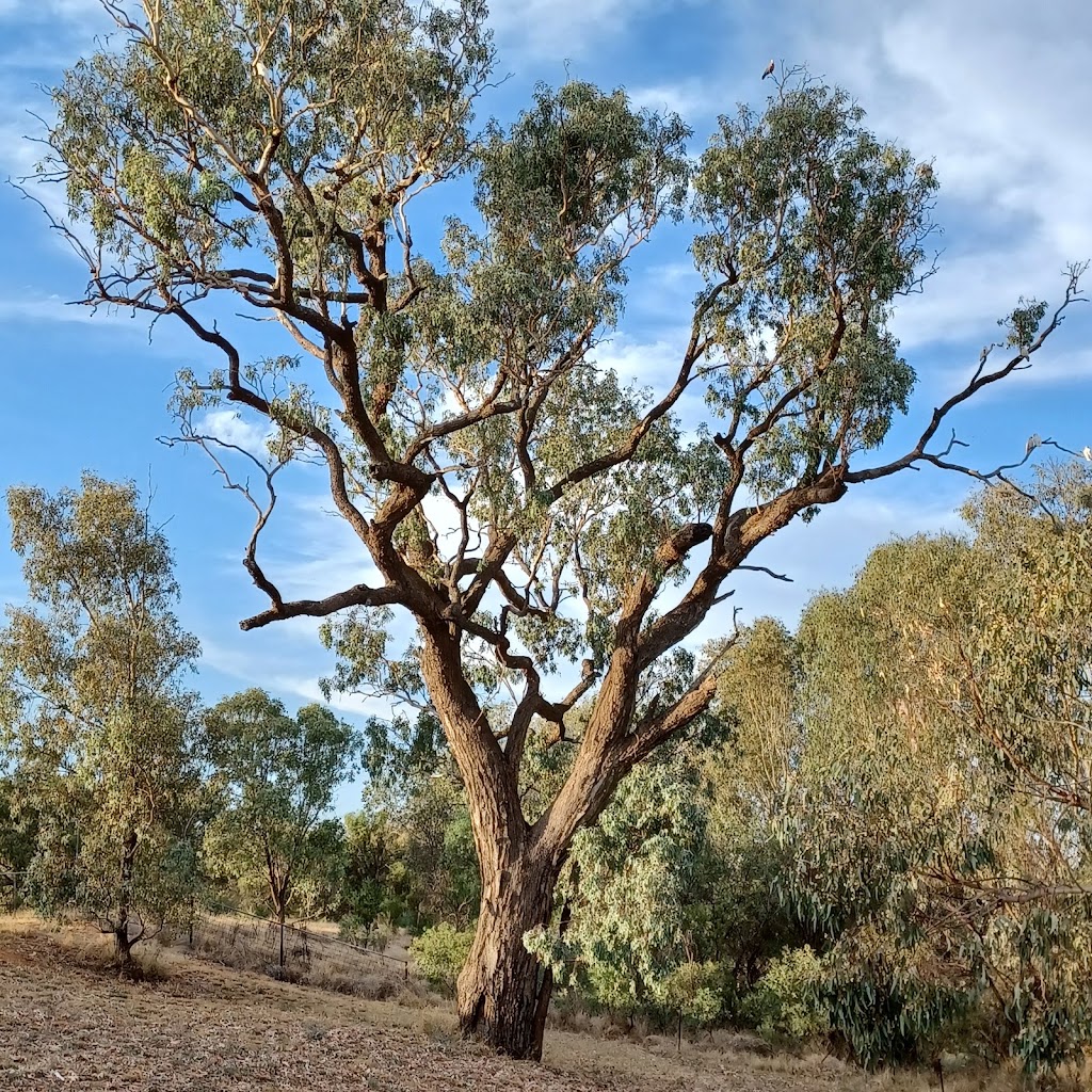 Riverwalk Cunnamulla | Adventure Way, Cunnamulla QLD 4490, Australia | Phone: (07) 4655 8470
