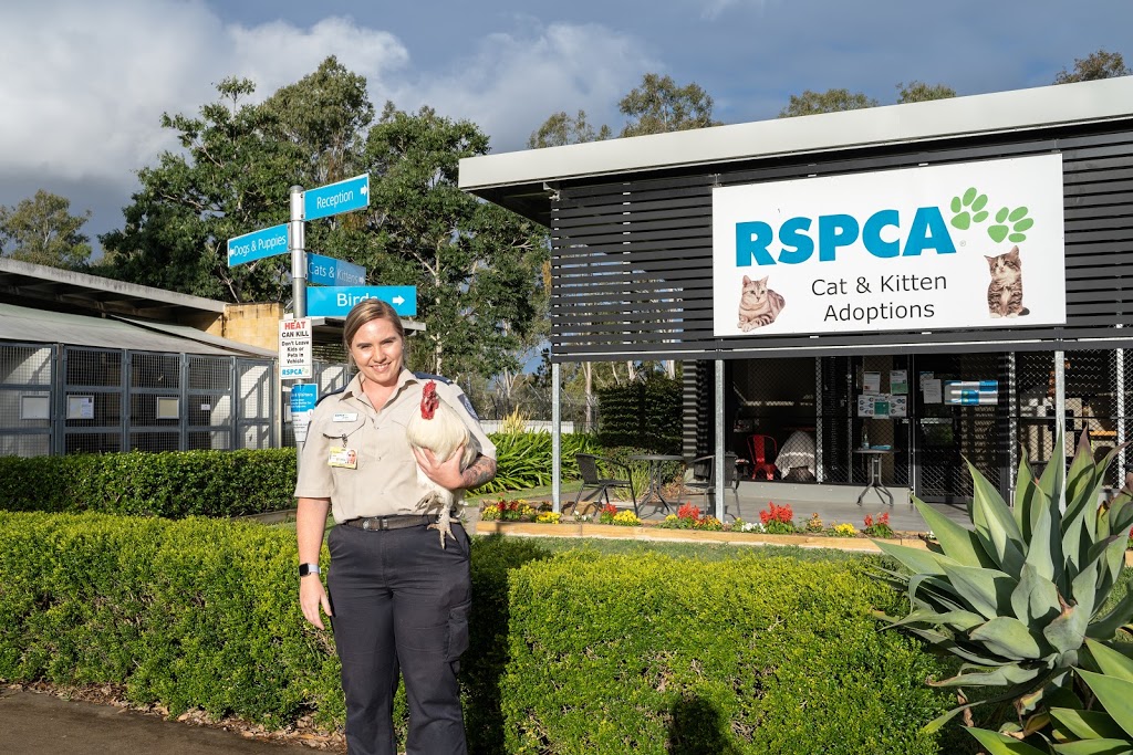 RSPCA Gympie | Lot 6 Laurenceson Rd, Glanmire QLD 4570, Australia | Phone: (07) 5482 9407