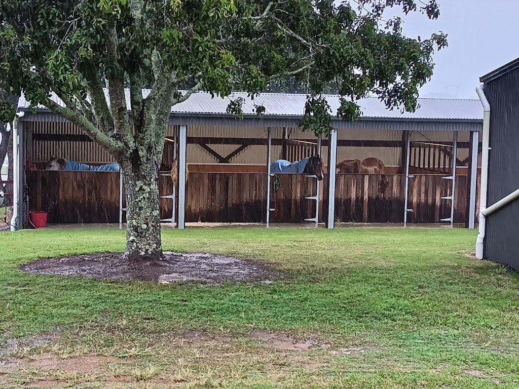 Mountain View Equestrian Centre | 475 Raaen Rd, Bracalba QLD 4512, Australia | Phone: 0468 585 529