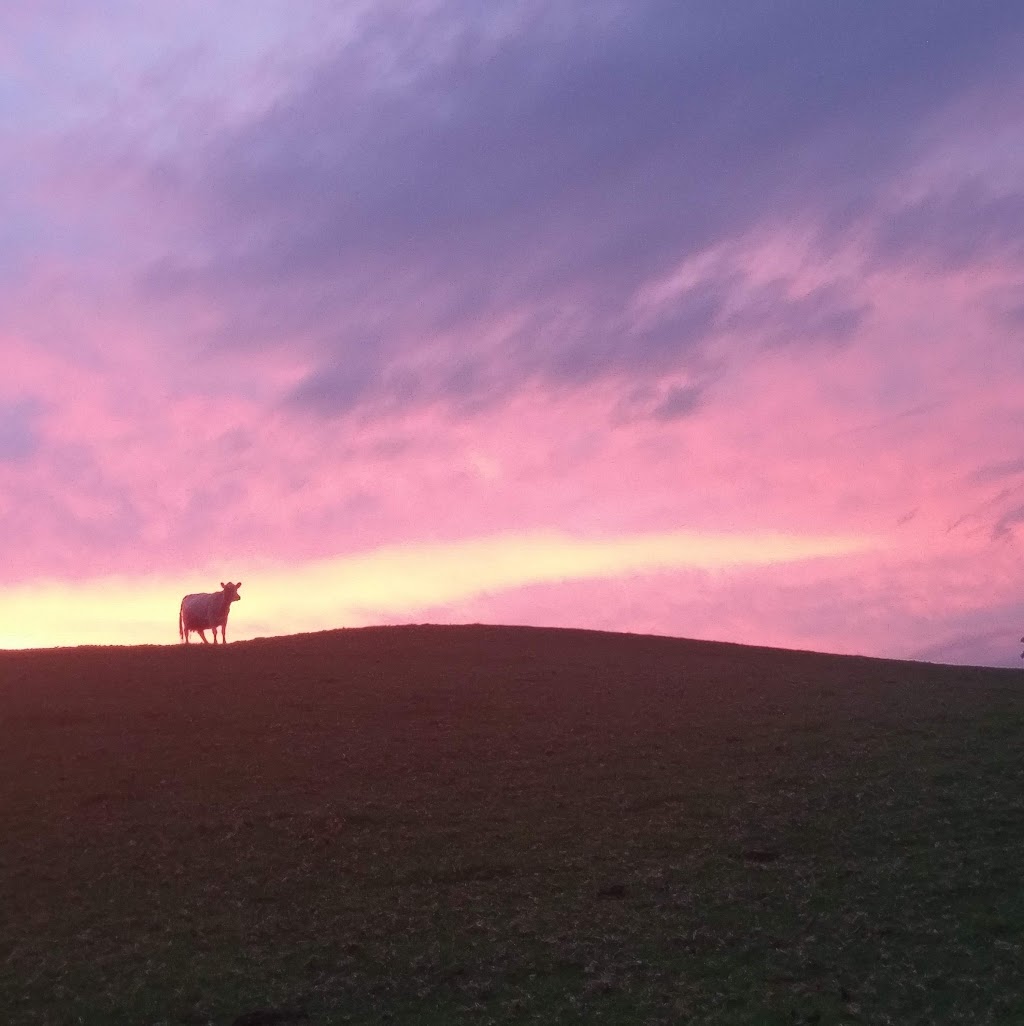 Terralong Farm | lodging | Jarretts Lane, Kangaroo Valley NSW 2577, Australia