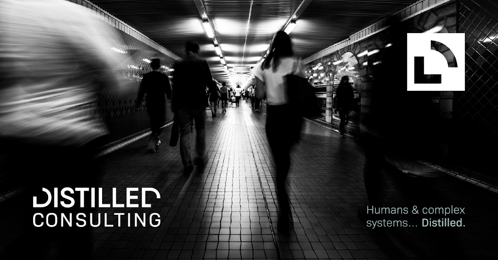 Distilled Consulting | 41A Griffith Rd, Scarborough QLD 4020, Australia | Phone: 0439 393 038