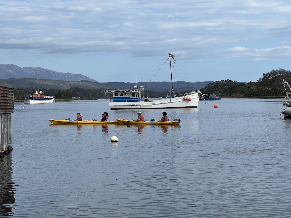 West Coast Kayaking | 42°0918.3"S 145°1931.5"E, Strahan TAS 7468, Australia | Phone: 0494 314 145