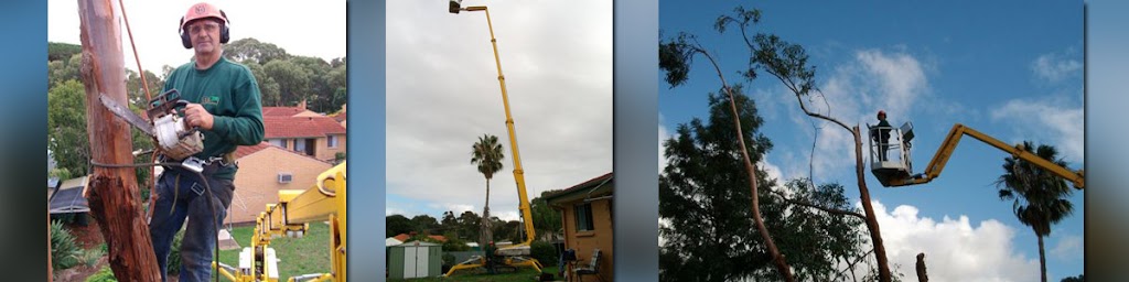 Specialised Tree Services |  | 108 George St, Paradise SA 5075, Australia | 0418829875 OR +61 418 829 875