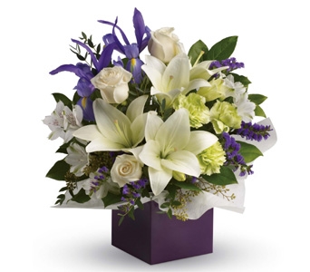 Blue Mountains Blossoms | florist | 15 Green St, Glenbrook NSW 2773, Australia | 0408985838 OR +61 408 985 838