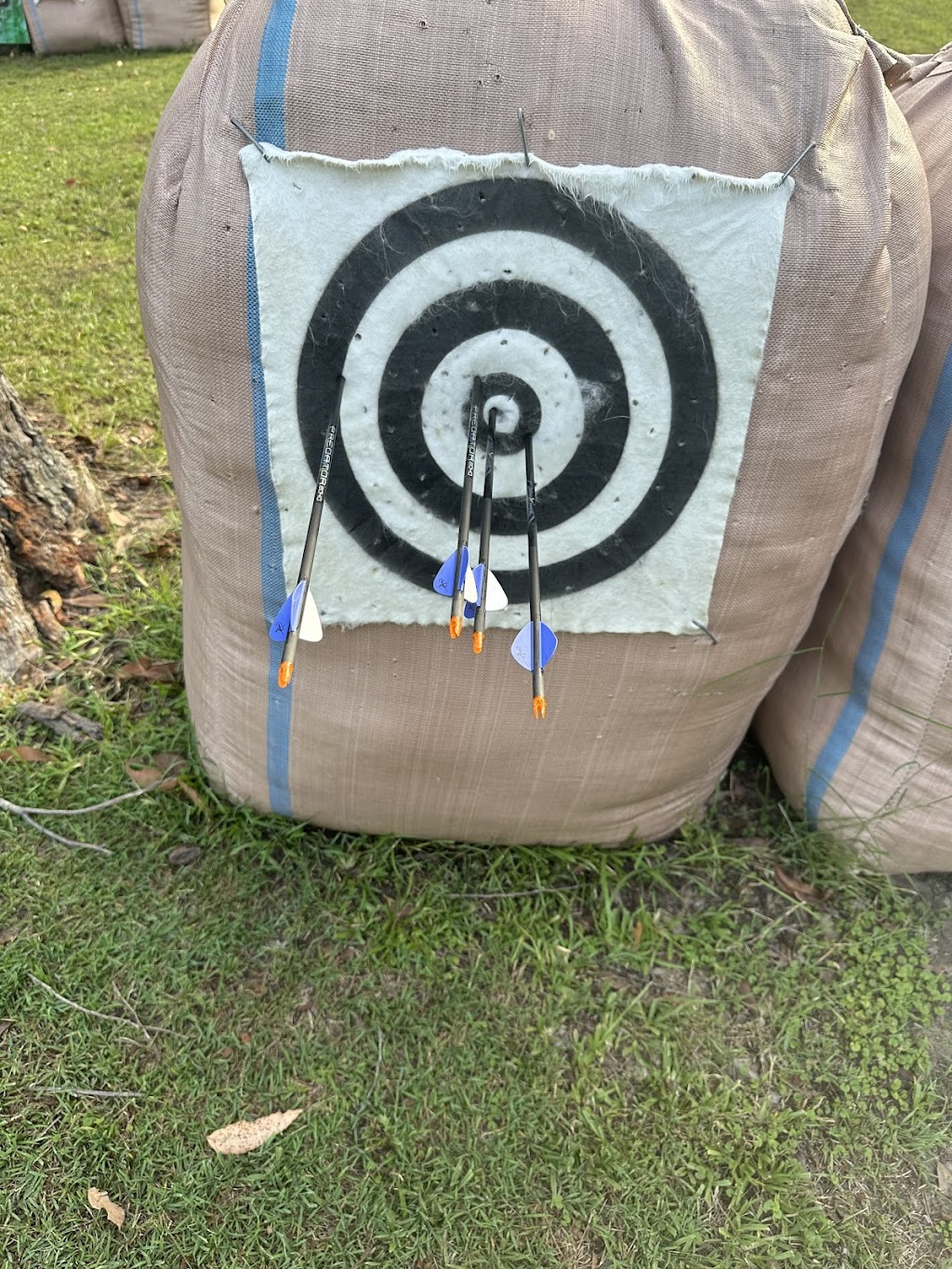 Mountain View Archers Wingham | 1274 Gloucester Rd, Wingham NSW 2429, Australia | Phone: 0418 271 042