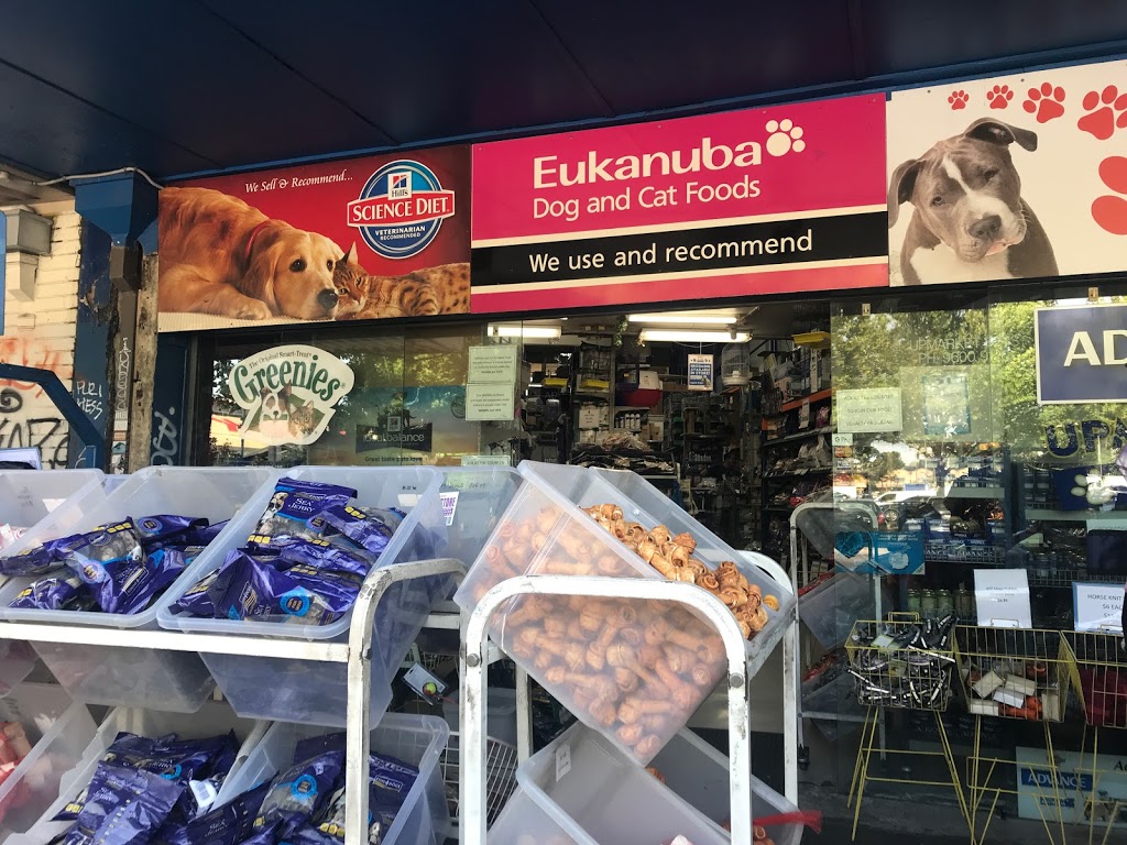 Upmarket Pets & Aquarium | pet store | 440 Queen St, Melbourne VIC 3000, Australia | 0396009120 OR +61 3 9600 9120