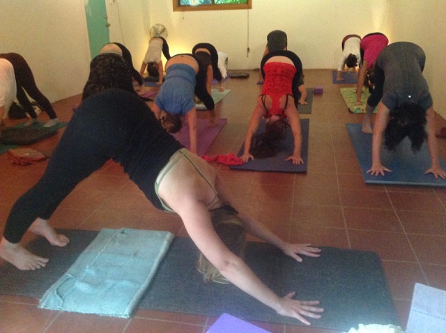 Mandala Garden Yoga and Wellness | 161 Dawson St, Girards Hill NSW 2480, Australia | Phone: 0478 155 114