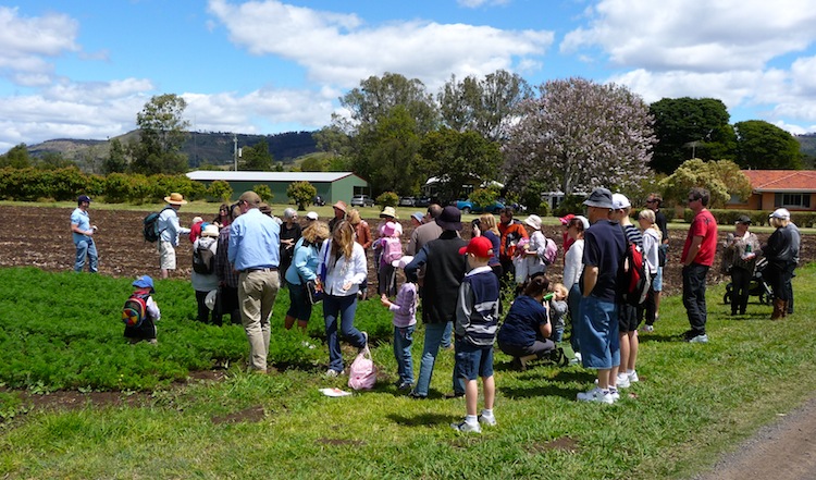 Bauers Organic Farm Pty Ltd | 1166 Mount Sylvia Rd, Mount Sylvia QLD 4343, Australia | Phone: 0423 590 709