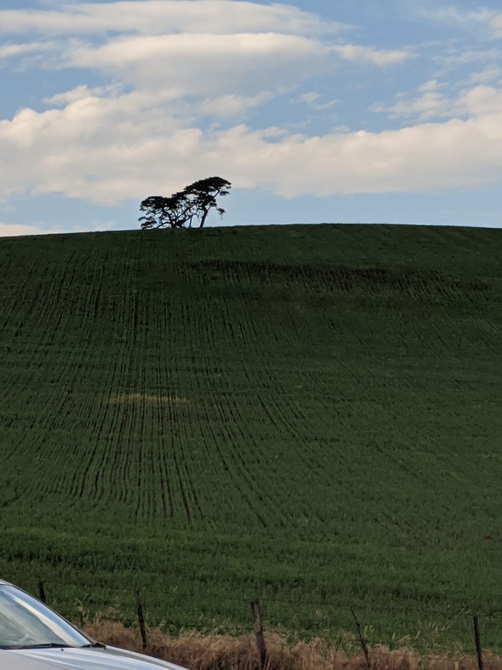 Scrub HIll 1869 | 1713 Daylesford Ballarat Road Corner, Sawmill Rd, Newlyn VIC 3364, Australia | Phone: 0409 645 237