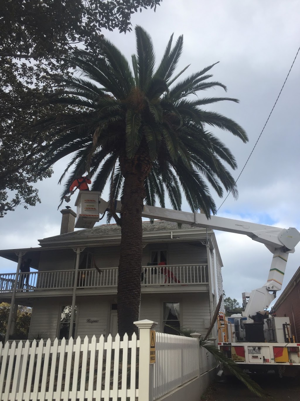 Wood Professional Tree Services |  | 385 Grubb Rd, Wallington VIC 3221, Australia | 0412524750 OR +61 412 524 750