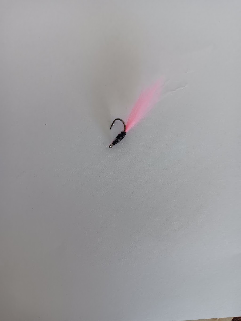 KLs Fishing Co | 17 Ellis Ct, Sandstone Point QLD 4511, Australia | Phone: 0493 564 948