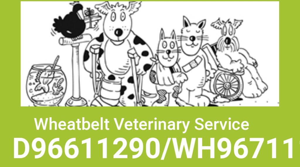 Wheatbelt Vet Services | veterinary care | 24 Elphin Cres, Wongan Hills WA 6603, Australia | 0896711108 OR +61 8 9671 1108