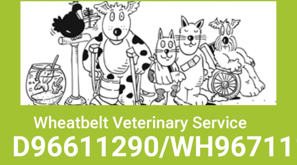 Wheatbelt Vet Services | 24 Elphin Cres, Wongan Hills WA 6603, Australia | Phone: (08) 9671 1108