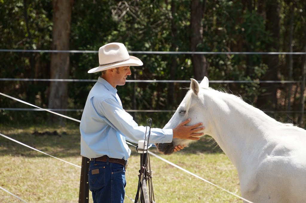 Skerrett Equine | health | 505 Crossmaglen Rd, Bonville NSW 2450, Australia | 0413072922 OR +61 413 072 922