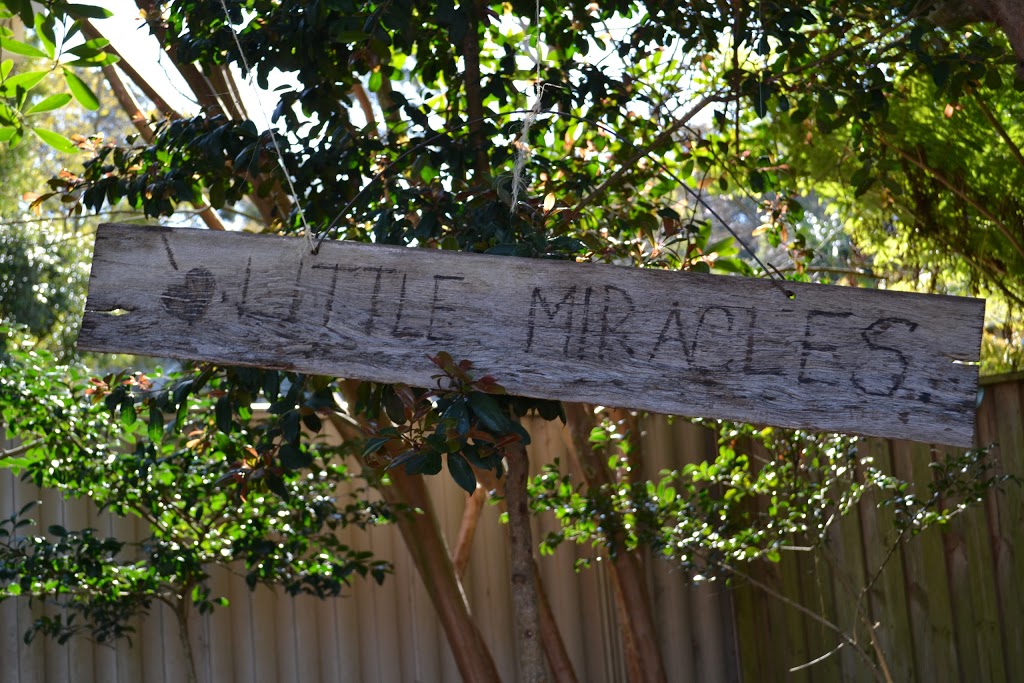 Little Miracles Terrigal | school | 25 Michaela Rd, Terrigal NSW 2260, Australia | 0243853811 OR +61 2 4385 3811