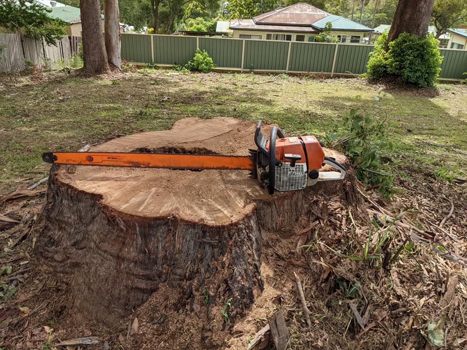 Ironbark Tree Company | Cameron St, Wauchope NSW 2446, Australia | Phone: 0417 249 617