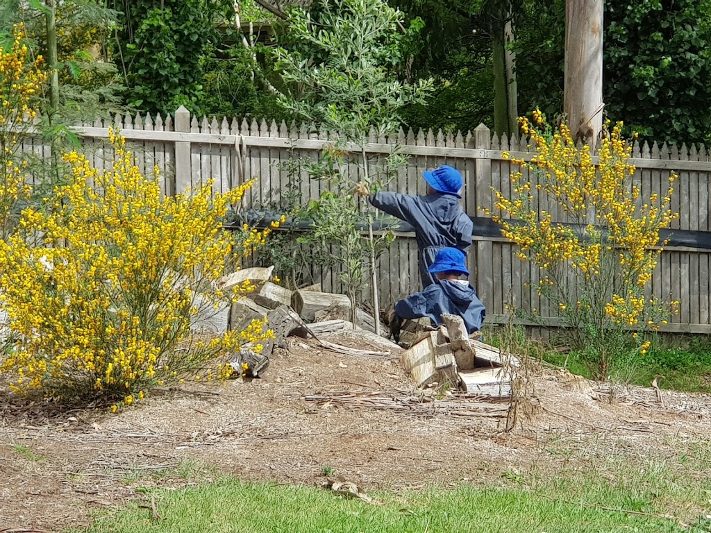 TreeTots family day care | 6 Dickens Rd, Olinda VIC 3788, Australia | Phone: 0407 533 254