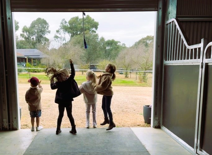 Evolve with Horse Coaching | 251 Old Hume Hwy, Glenrowan VIC 3675, Australia | Phone: 0419 513 788