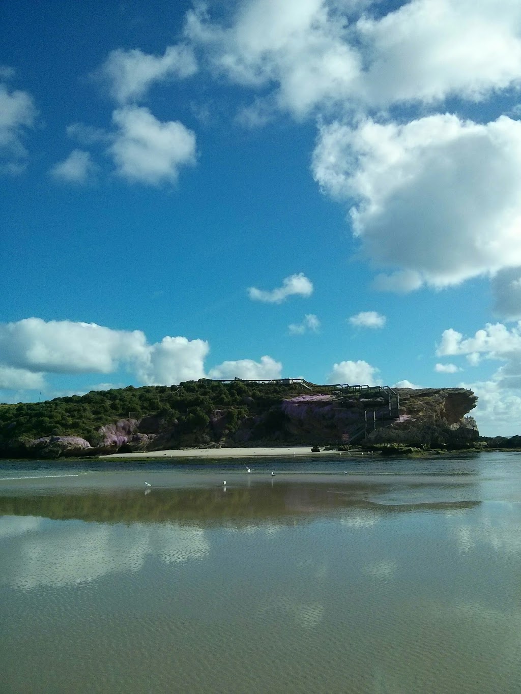 Merri Marine Sanctuary | park | Victoria, Australia