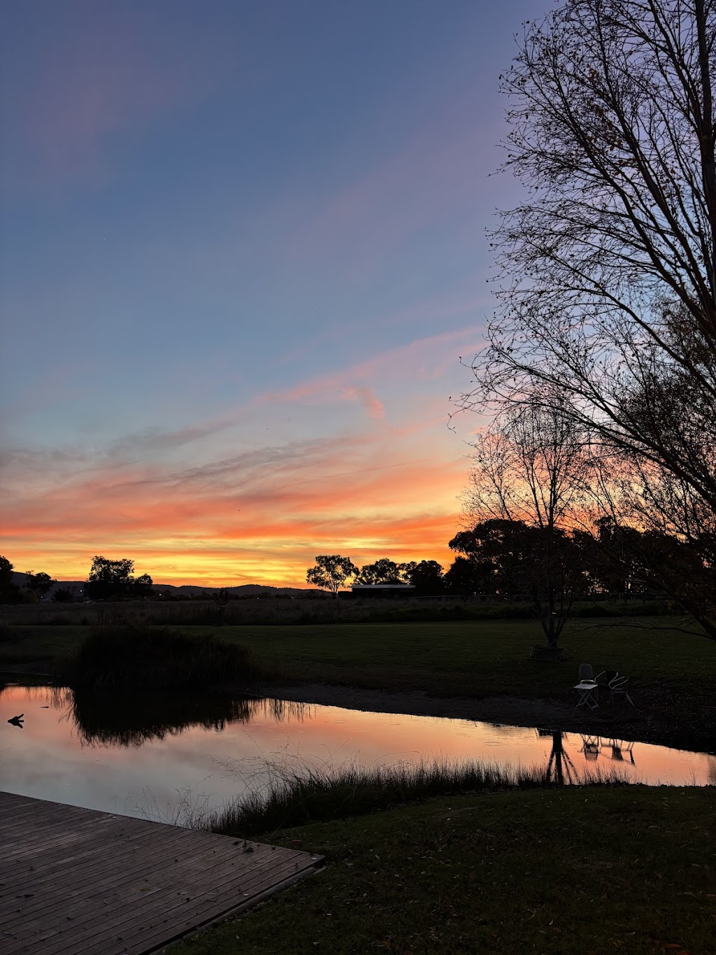 Clover Cellars | 68 Edgell Ln, Buckaroo NSW 2850, Australia | Phone: 0481 948 355