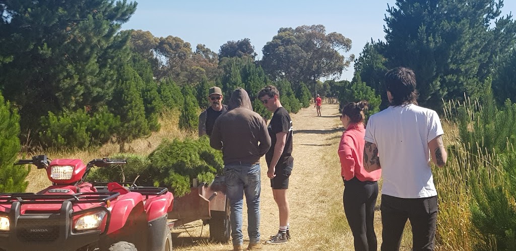 North Pole Christmas Trees Farm | 1000 Old Sydney Rd, Beveridge VIC 3064, Australia | Phone: (03) 9308 3571