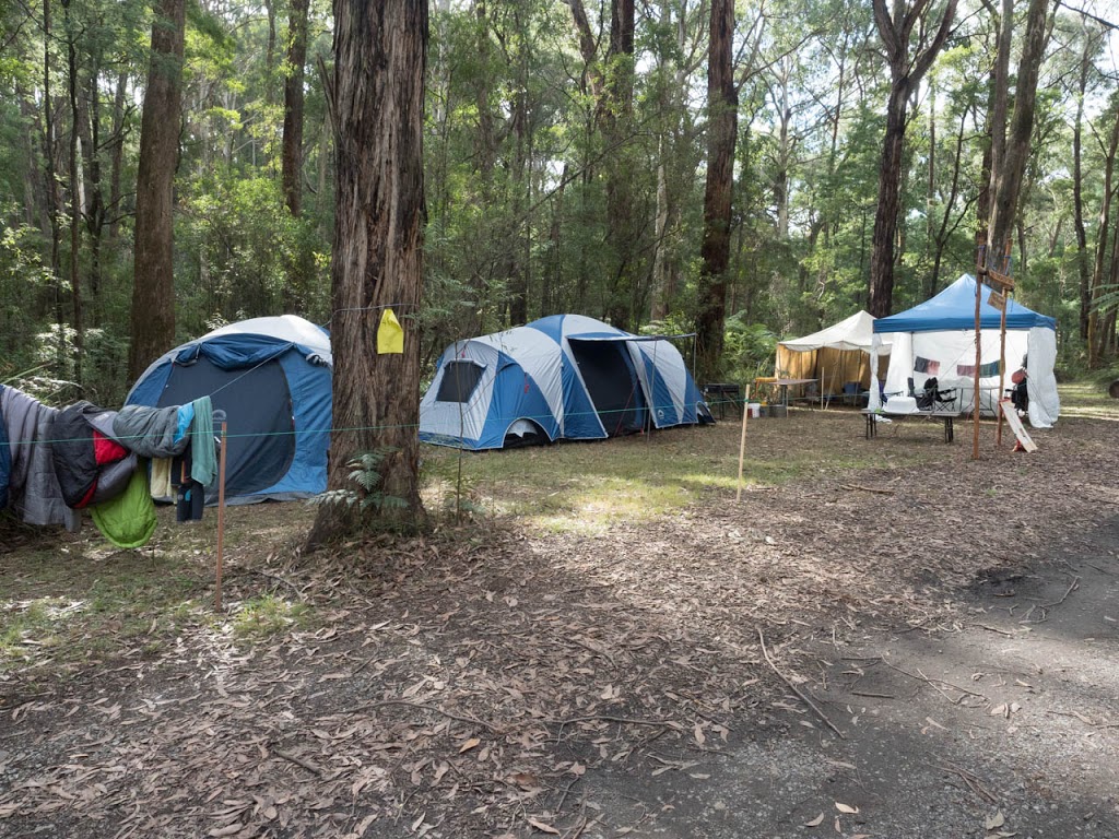 Gilwell Park Scout Camp | park | 2555 Gembrook-Launching Pl Rd, Gembrook VIC 3783, Australia | 0359678888 OR +61 3 5967 8888