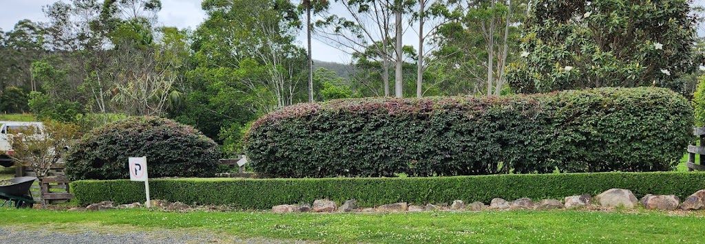 Pacific Palms Mowing | Boomerang Dr, Boomerang Beach NSW 2428, Australia | Phone: 0484 037 930