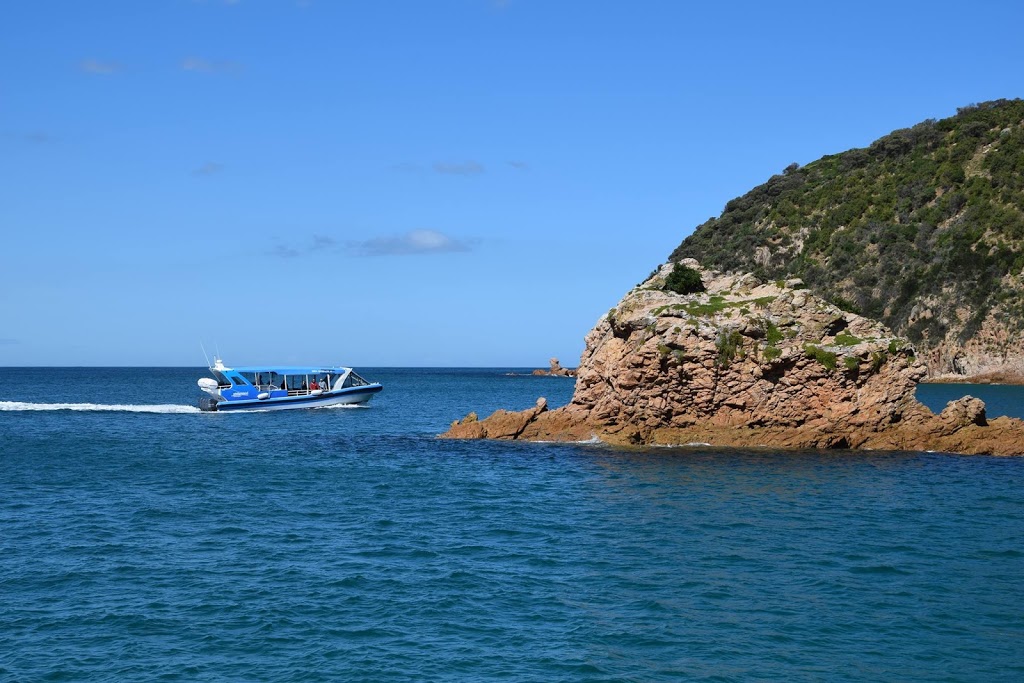 EcoBoat Adventures | travel agency | The Jetty Triangle, 11-13 The Esplanade, Cowes VIC 3922, Australia | 0359512800 OR +61 3 5951 2800