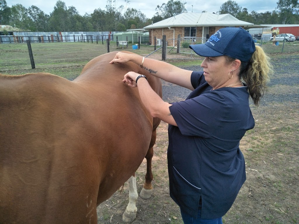 Hands On Healing Therapies |  | 47 Lake St, Atkinsons Dam QLD 4311, Australia | 0415348195 OR +61 415 348 195