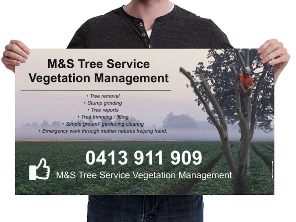 M&S tree services vegetation management | 34 Unity St, Maryborough QLD 4650, Australia | Phone: 0413 911 909