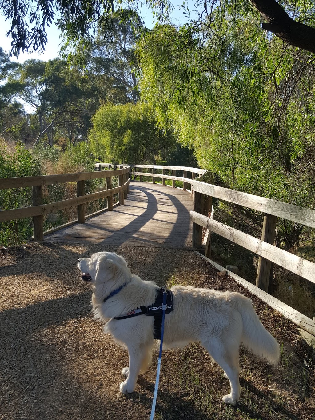 Walkley Heights Walking Trail | park | Walkley Heights SA 5098, Australia