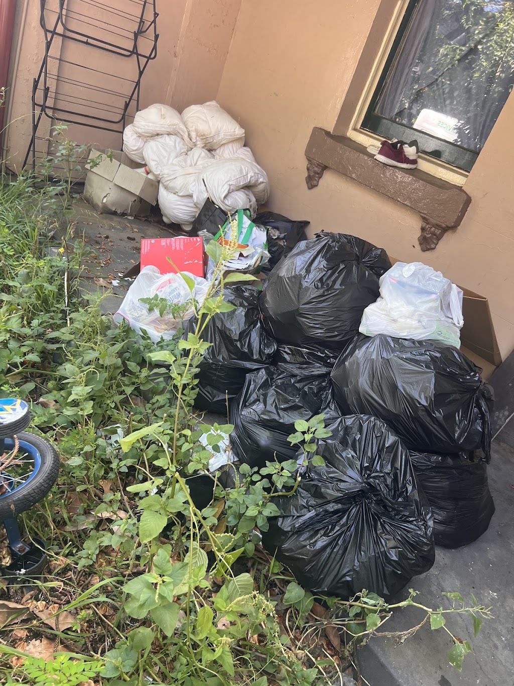 Mr Mower and removal services | 22 Tamborine Dr, Minto NSW 2566, Australia | Phone: 0420 272 114